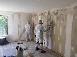 Best Mold Remediation for Rental Properties  in La Verkin, UT